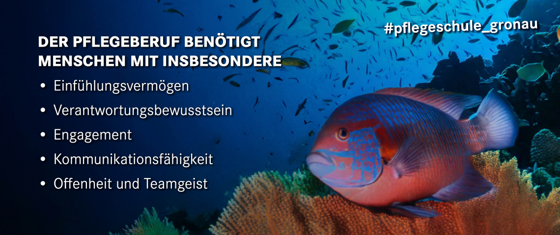 Pflegeberuf